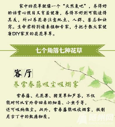 花花草草里的健康学问