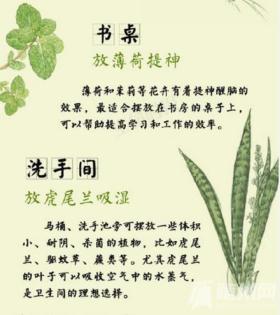 花花草草里的健康学问