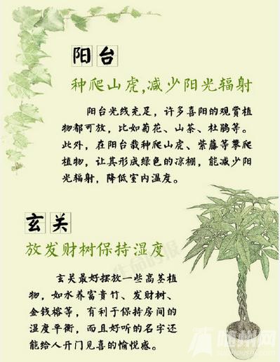 花花草草里的健康学问