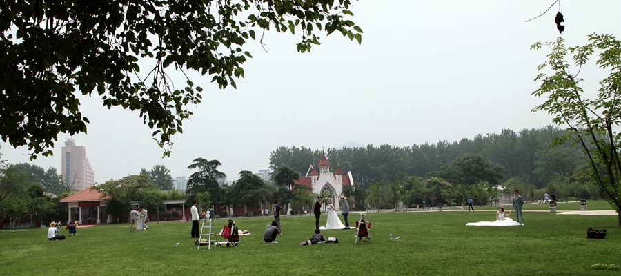 IMG_1533.jpg