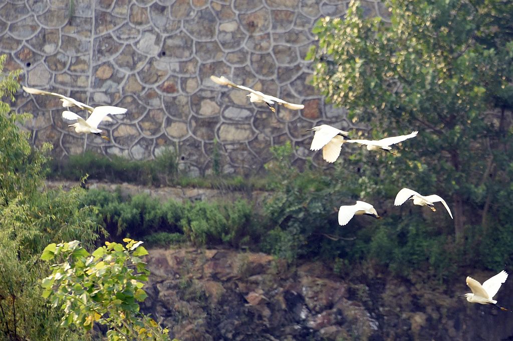 DSC_8669.JPG