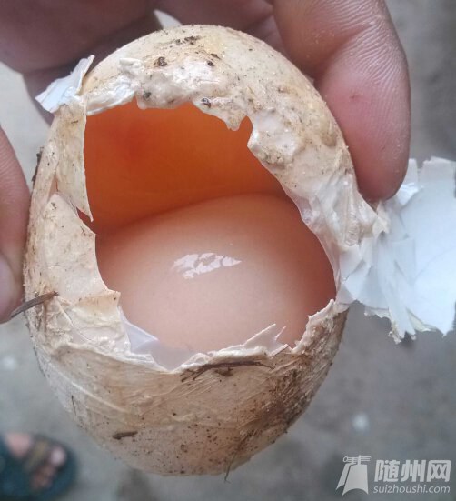 Ӵˣʲô