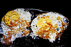 77346_20130414075315838360_2.jpg