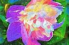 u=2511167126,1524057671&amp;fm=15&amp;gp=0.jpg
