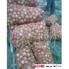 u=44881967,2563436124&amp;fm=15&amp;gp=0.jpg