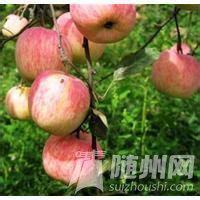 u=1038314039,1170470288&amp;fm=21&amp;gp=0.jpg