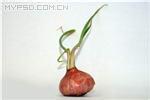 u=2245284679,3579023607&amp;fm=15&amp;gp=0.jpg