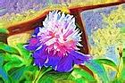 u=2609902118,1876196585&amp;fm=15&amp;gp=0.jpg