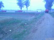 u=3538081442,1693074959&amp;fm=15&amp;gp=0.jpg