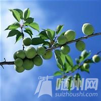 u=278196260,286802922&amp;fm=21&amp;gp=0.jpg