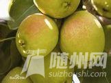 u=1260911013,1712207809&amp;fm=21&amp;gp=0.jpg