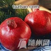 u=1829222856,4267186792&amp;fm=21&amp;gp=0.jpg
