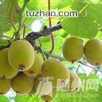 u=1397937252,8346954&amp;fm=21&amp;gp=0.jpg