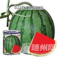 u=1405029453,4219369893&amp;fm=21&amp;gp=0.jpg