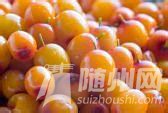 u=1563009092,3700022122&amp;fm=21&amp;gp=0.jpg
