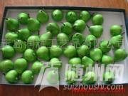 u=1693399574,3932109580&amp;fm=21&amp;gp=0.jpg