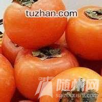 u=2269249189,346750374&amp;fm=21&amp;gp=0.jpg