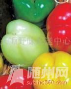 u=3109355147,420289999&amp;fm=21&amp;gp=0.jpg