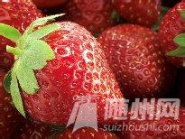 u=3148801723,2526609848&amp;fm=21&amp;gp=0.jpg