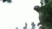 u=2764125055,1393970135&amp;fm=21&amp;gp=0.jpg