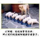 u=1501344221,950093074&amp;fm=21&amp;gp=0.jpg