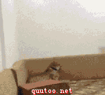 u=2128200535,795001267&amp;fm=21&amp;gp=0.jpg