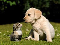 u=2832615387,3636915306&amp;fm=21&amp;gp=0.jpg