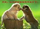 u=2867803556,578776868&amp;fm=21&amp;gp=0.jpg