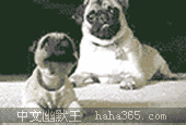 u=1757496311,2507140294&amp;fm=21&amp;gp=0.jpg