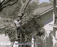 u=3630929797,595859220&amp;fm=21&amp;gp=0.jpg