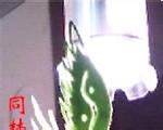 u=1044594651,4151327211&amp;fm=15&amp;gp=0.jpg
