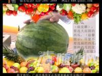 u=1540908442,4175864241&amp;fm=21&amp;gp=0.jpg