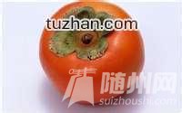 u=3257805513,1294572366&amp;fm=15&amp;gp=0.jpg