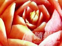 u=476969237,1392909661&amp;fm=21&amp;gp=0.jpg