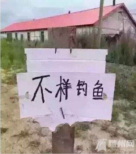 QQ图片20150802091509.jpg