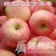 u=518294927,4167830528&amp;fm=21&amp;gp=0.jpg