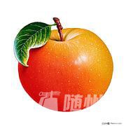 u=568761683,3273092389&amp;fm=21&amp;gp=0.jpg