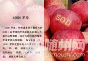 u=897565204,1223739643&amp;fm=21&amp;gp=0.jpg