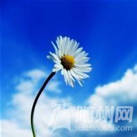 u=1163562852,2050766970&amp;fm=21&amp;gp=0.jpg