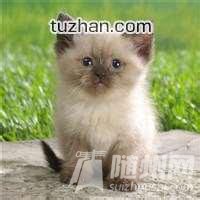 u=1412964935,1355807335&amp;fm=21&amp;gp=0.jpg