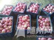 u=2007082880,2439642273&amp;fm=21&amp;gp=0.jpg