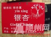 u=2134138729,2112435240&amp;fm=21&amp;gp=0.jpg