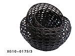 u=2153179448,2949350101&amp;fm=21&amp;gp=0.jpg