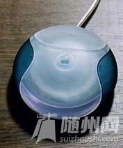 u=2809937998,2239619495&amp;fm=21&amp;gp=0.jpg