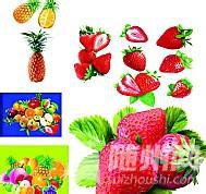 u=3130377778,956350866&amp;fm=15&amp;gp=0.jpg
