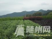 u=3303179958,3637296657&amp;fm=21&amp;gp=0.jpg