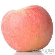 u=4093624560,243081173&amp;fm=21&amp;gp=0.jpg