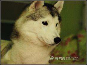 u=127523568,902085163&amp;fm=21&amp;gp=0.jpg