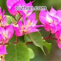 u=10534898,251422056&amp;fm=21&amp;gp=0.jpg