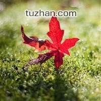 u=91522733,2427039506&amp;fm=21&amp;gp=0.jpg